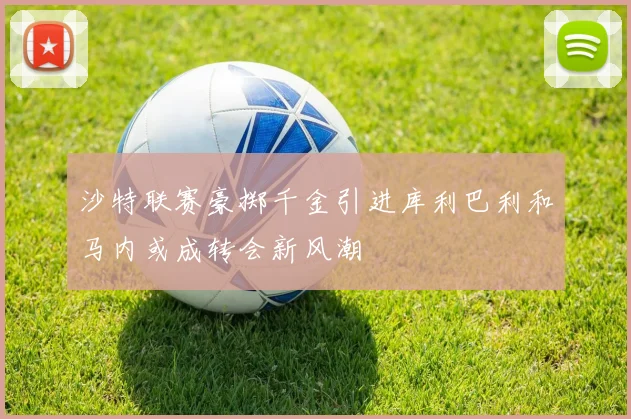 沙特联赛豪掷千金引进库利巴利和马内或成转会新风潮
