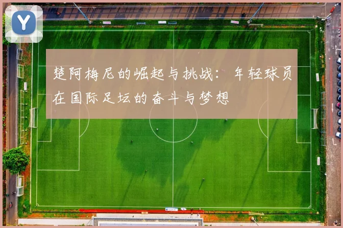 楚阿梅尼的崛起与挑战：年轻球员在国际足坛的奋斗与梦想