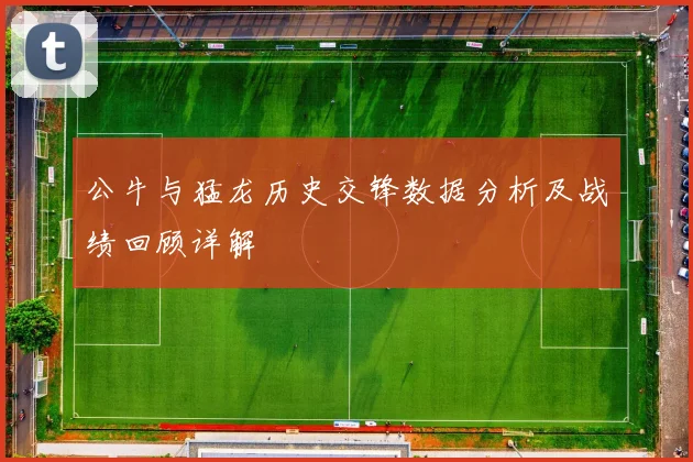 公牛与猛龙历史交锋数据分析及战绩回顾详解