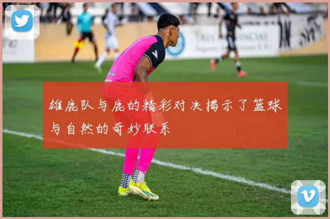 雄鹿队与鹿的精彩对决揭示了篮球与自然的奇妙联系