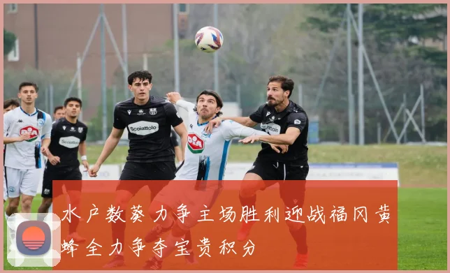 水户数葵力争主场胜利迎战福冈黄蜂全力争夺宝贵积分
