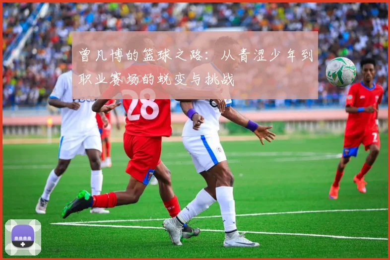 曾凡博的篮球之路：从青涩少年到职业赛场的蜕变与挑战