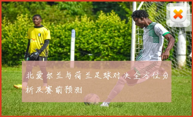 北爱尔兰与荷兰足球对决全方位分析及赛前预测