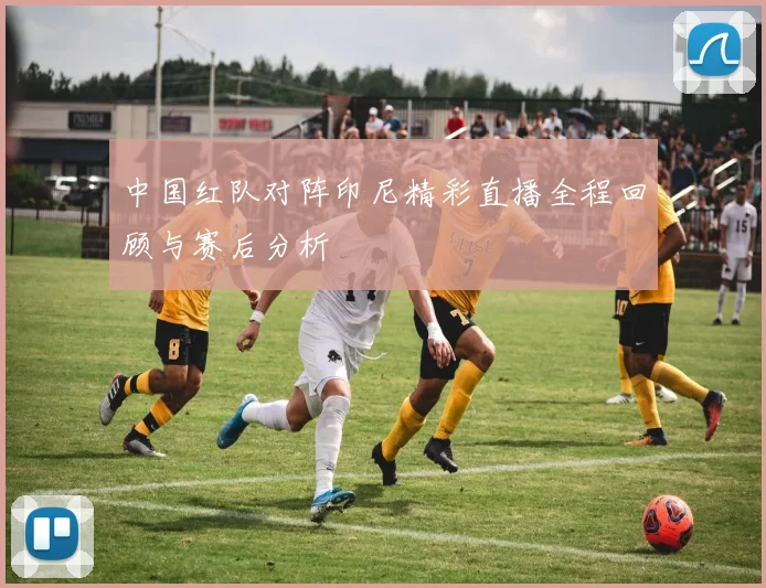 中国红队对阵印尼精彩直播全程回顾与赛后分析