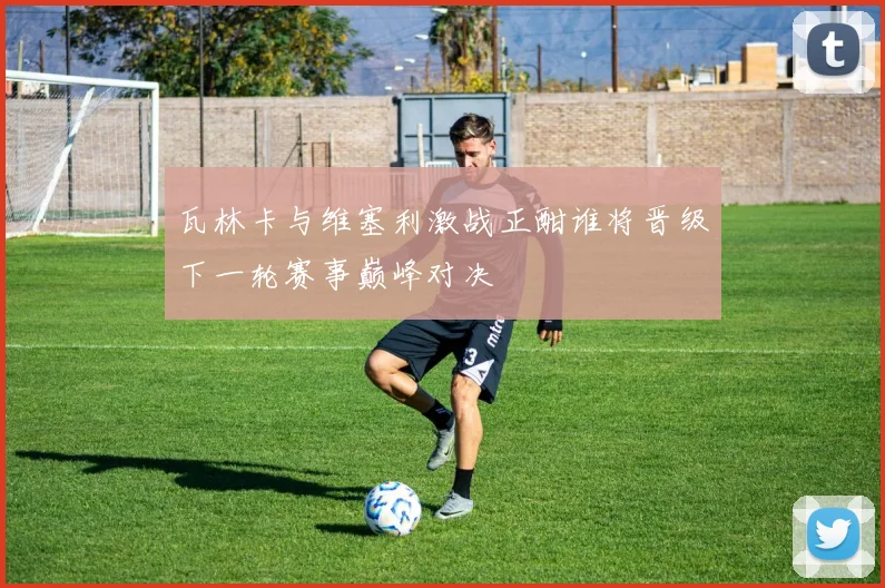 瓦林卡与维塞利激战正酣谁将晋级下一轮赛事巅峰对决